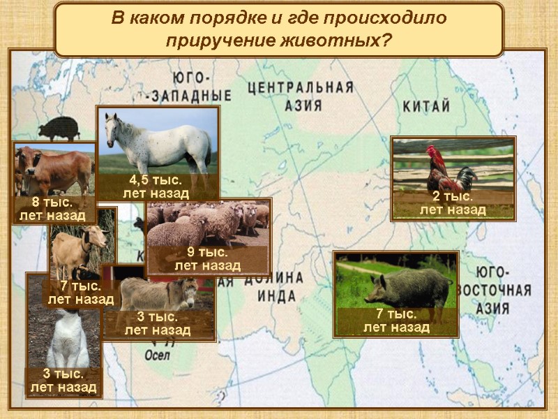 9 тыс. лет назад 8 тыс.  лет назад 7 тыс. лет назад 7